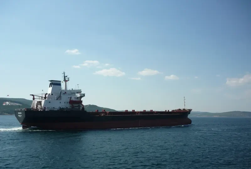 BELMOPAN Bulk Carrier IMO 7361568
