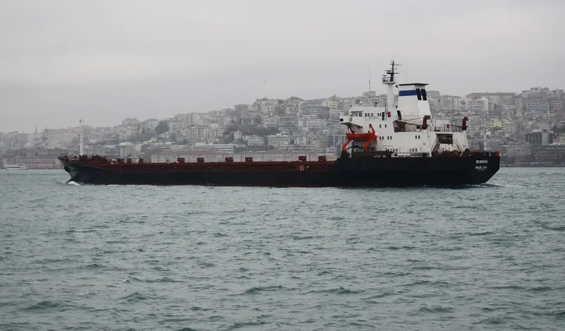 BELMOPAN Bulk Carrier IMO 7361568 photo 3