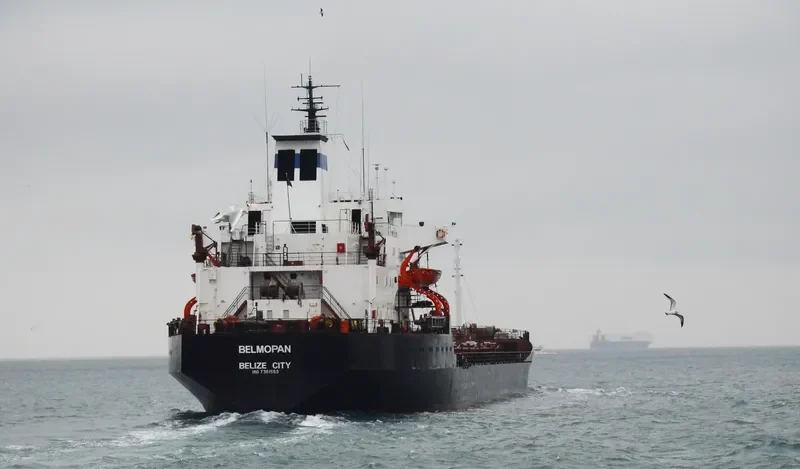 BELMOPAN Bulk Carrier IMO 7361568 photo 4
