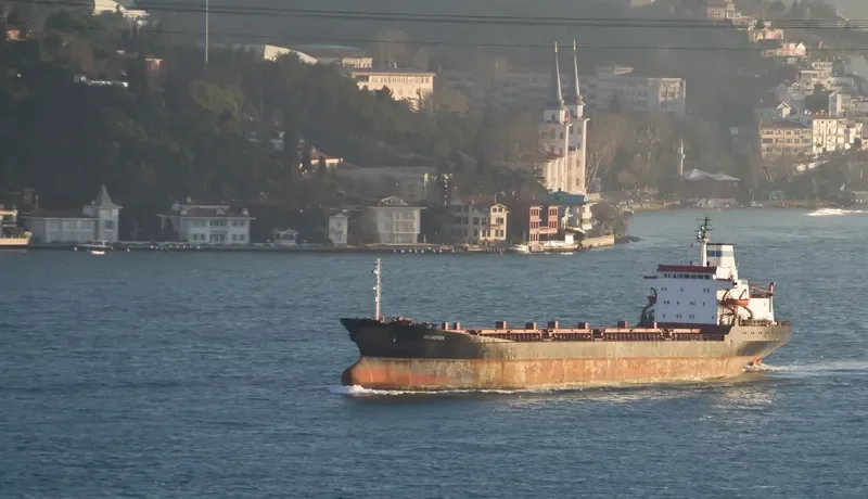 BELMOPAN Bulk Carrier IMO 7361568 photo 9