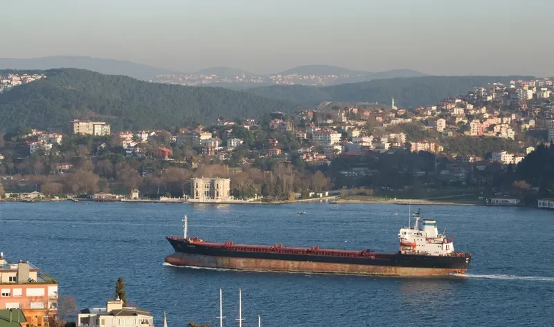 BELMOPAN Bulk Carrier IMO 7361568 photo 10