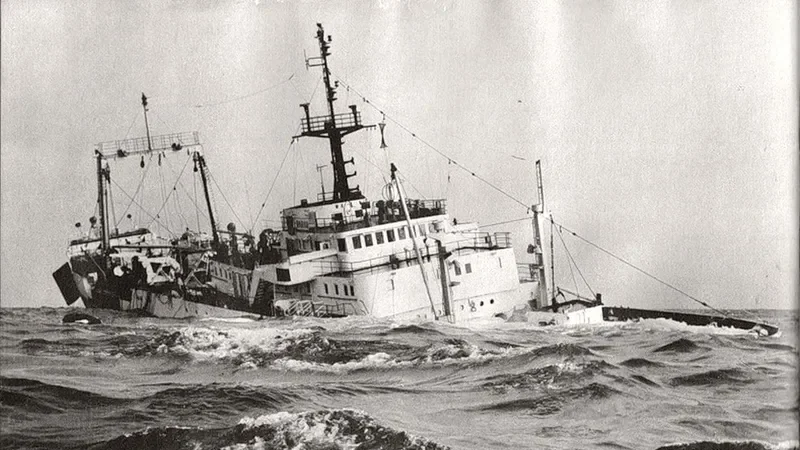 HARGHITA General Cargo IMO 7362304