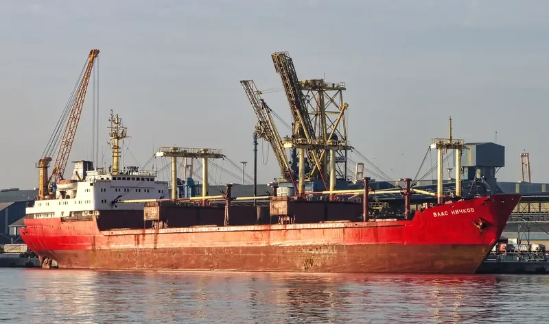 VLAS NICHKOV General Cargo IMO 7362419 photo 3