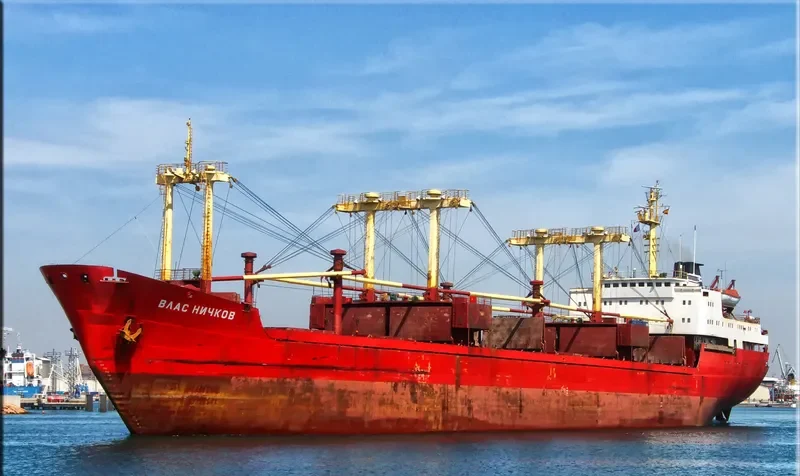 VLAS NICHKOV General Cargo IMO 7362419 photo 5