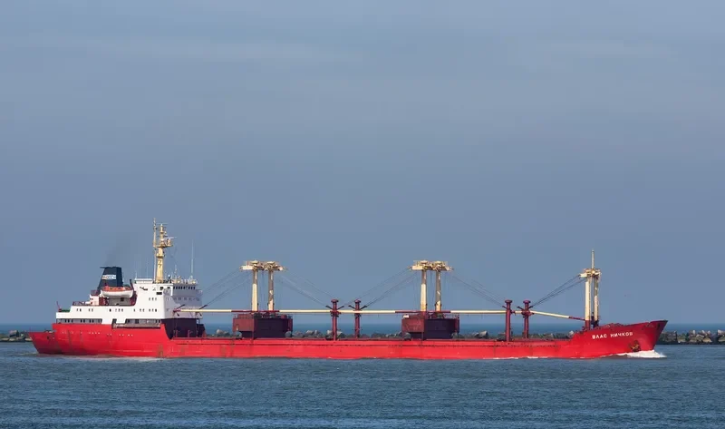 VLAS NICHKOV General Cargo IMO 7362419 photo 7