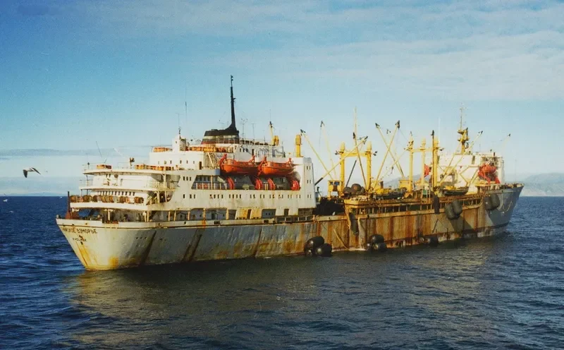 RIZHSKOYE VZMORYE General Cargo IMO 7362469