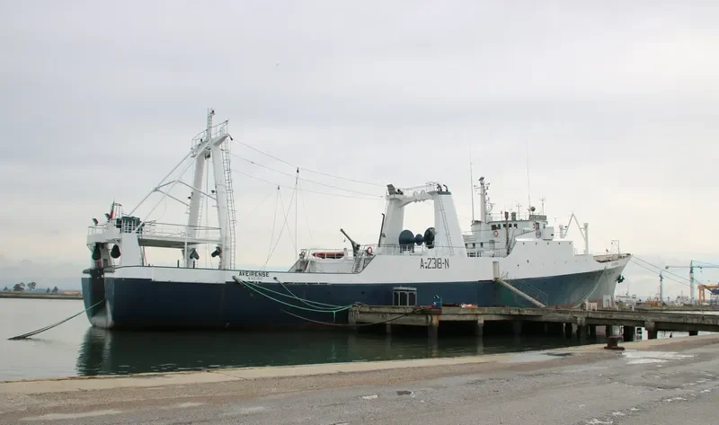AVEIRENSE General Cargo IMO 7362823 photo 4