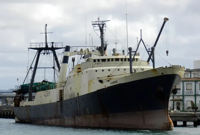 AVEIRENSE General Cargo IMO 7362823 photo 6