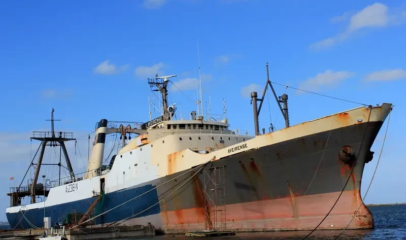 AVEIRENSE General Cargo IMO 7362823 photo 7