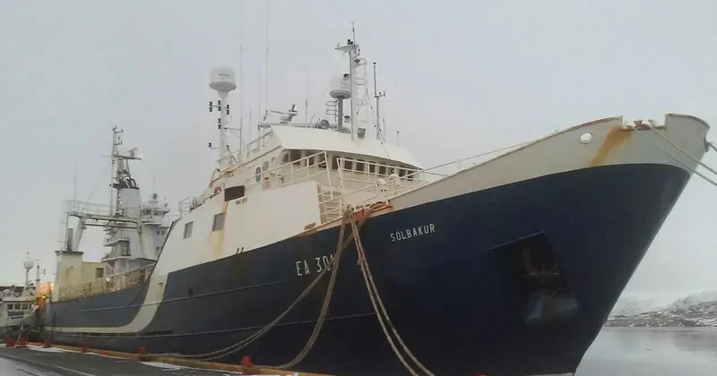 KALDBAKUR General Cargo IMO 7363205