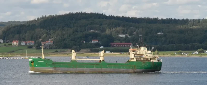 ANNA N General Cargo IMO 7364041