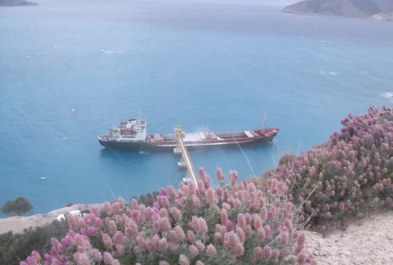 T.DAMLA 6 General Cargo IMO 7364534 photo 3