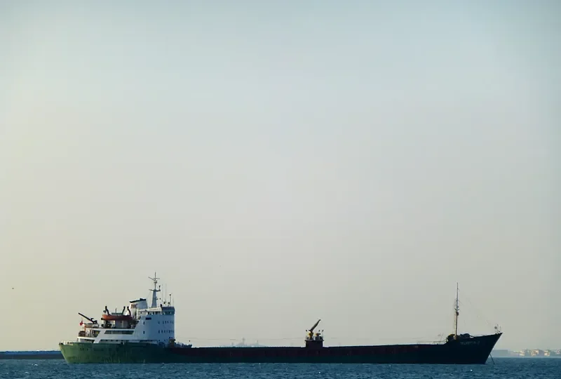 T.DAMLA 6 General Cargo IMO 7364534 photo 6