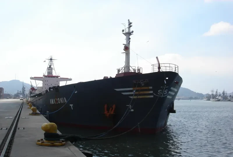 AMAZONIA Bulk Carrier IMO 7365071