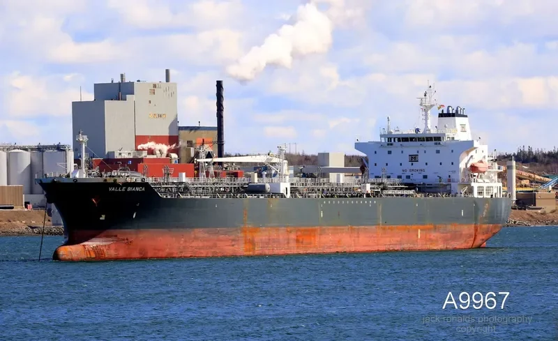 VALLE BIANCA Tanker IMO 7365291 photo 2