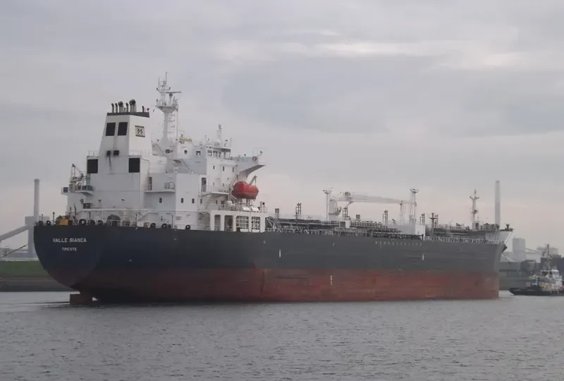 VALLE BIANCA Tanker IMO 7365291 photo 10