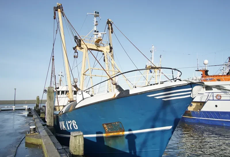 VERWACHTING General Cargo IMO 7365617 photo 4
