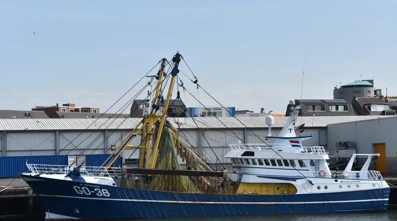 CELTIC WARRIOR General Cargo IMO 7365708