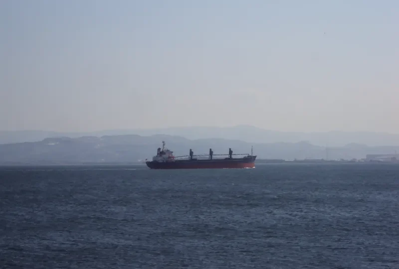 LEVANTES Bulk Carrier IMO 7366128 photo 2
