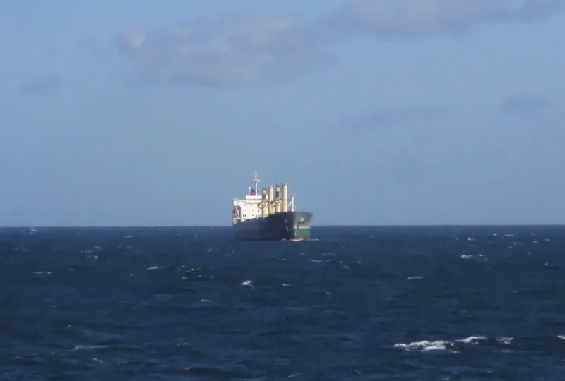 LEVANTES Bulk Carrier IMO 7366128 photo 3