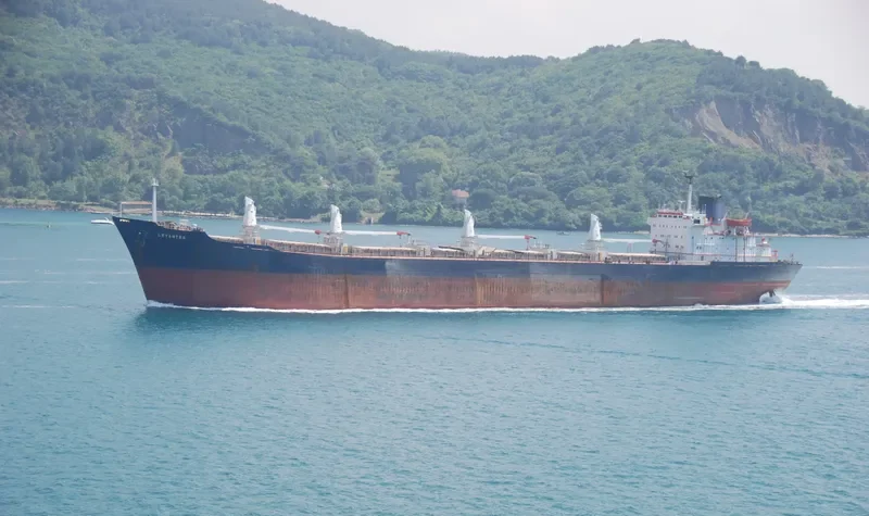 LEVANTES Bulk Carrier IMO 7366128 photo 8