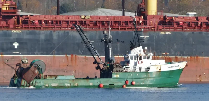 CALEDONIAN General Cargo IMO 7366257 photo 3