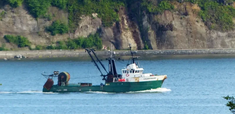 CALEDONIAN General Cargo IMO 7366257 photo 6