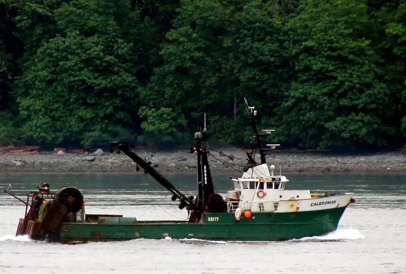 CALEDONIAN General Cargo IMO 7366257 photo 10