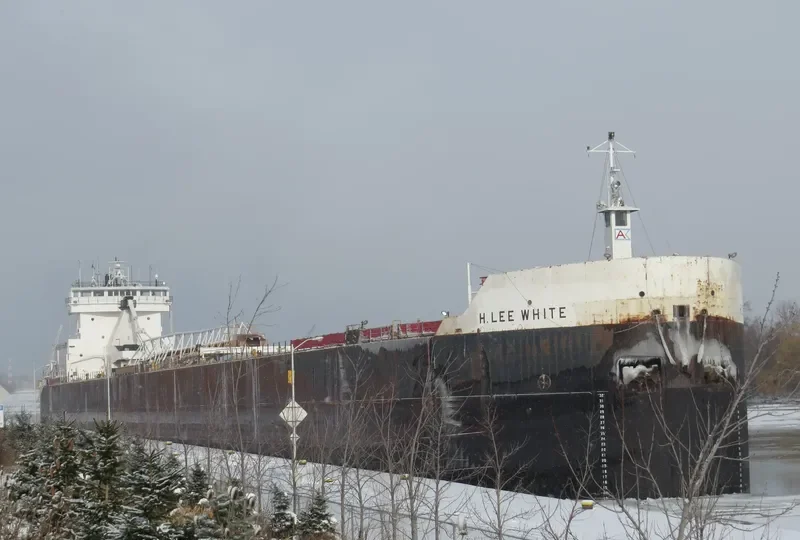 H.LEE WHITE Bulk Carrier IMO 7366362