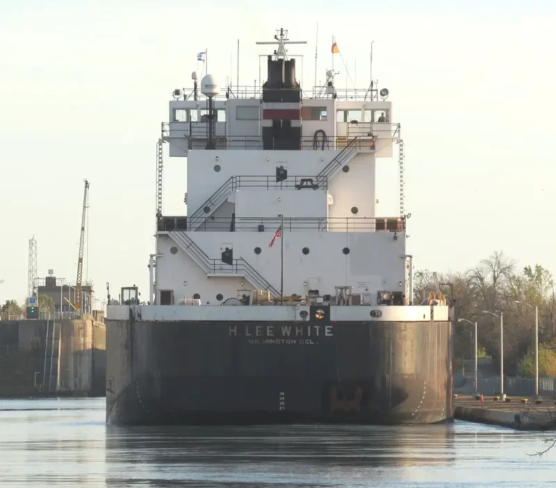 H.LEE WHITE Bulk Carrier IMO 7366362 photo 2