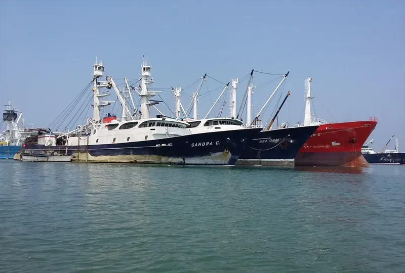 SANDRA C General Cargo IMO 7366659
