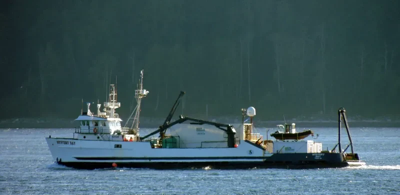 MYSTERY BAY Fishing Vessel IMO 7366831