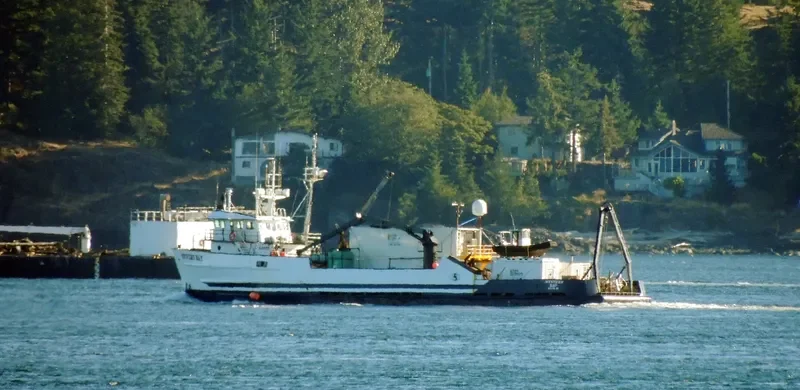MYSTERY BAY Fishing Vessel IMO 7366831 photo 2