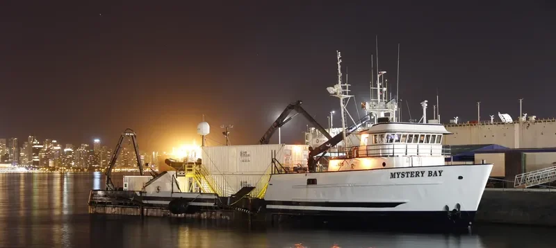 MYSTERY BAY Fishing Vessel IMO 7366831 photo 3