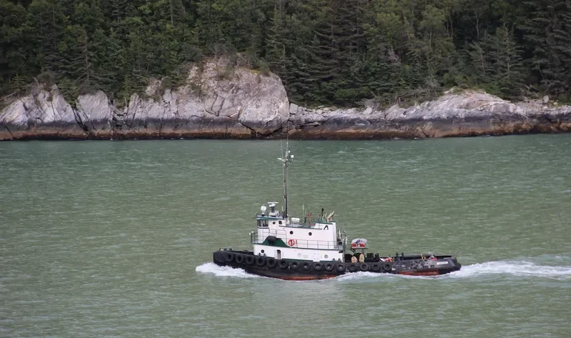 MUZON Tug Boat IMO 7366972 photo 3