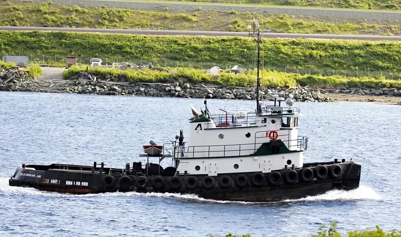 MUZON Tug Boat IMO 7366972 photo 5