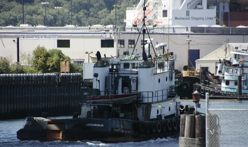MUZON Tug Boat IMO 7366972 photo 6