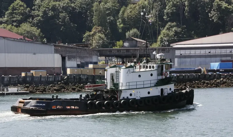 MUZON Tug Boat IMO 7366972 photo 7