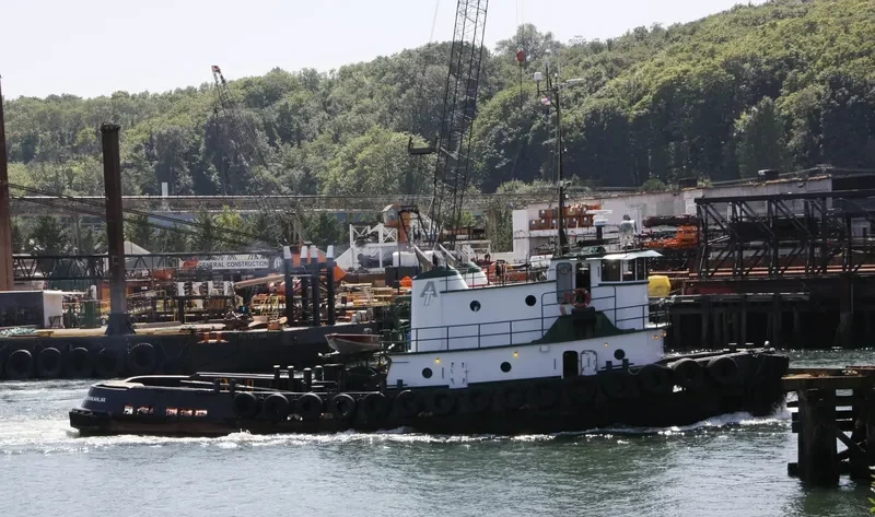 MUZON Tug Boat IMO 7366972 photo 8
