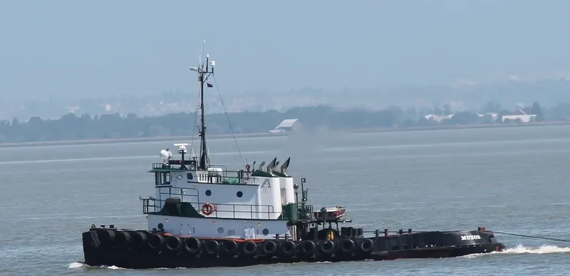 MUZON Tug Boat IMO 7366972 photo 9