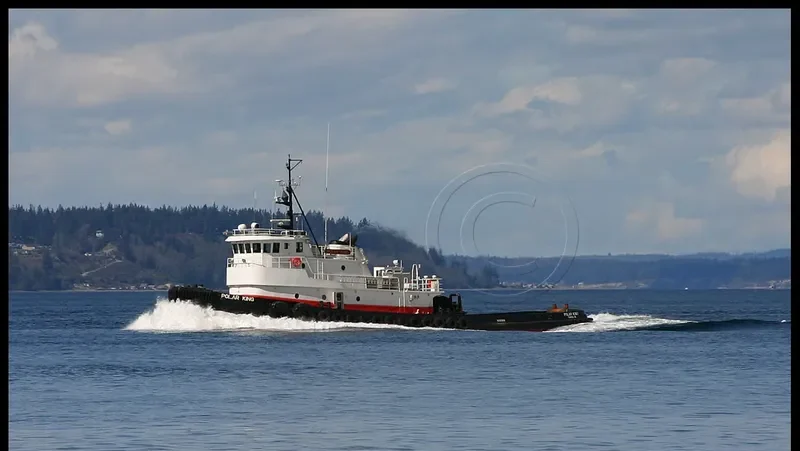 POLAR KING General Cargo IMO 7367158 photo 6