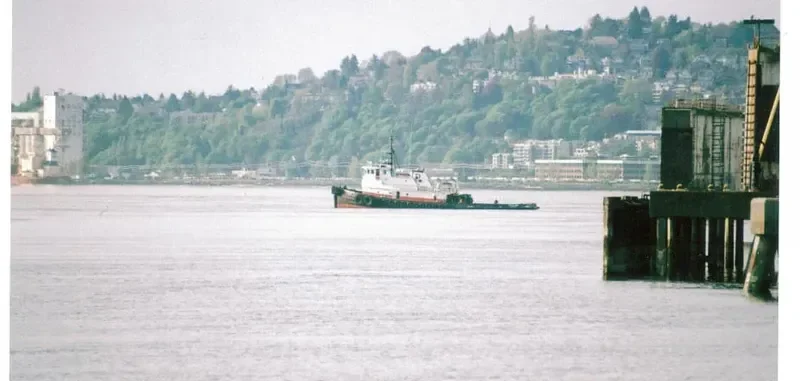 POLAR KING General Cargo IMO 7367158 photo 7