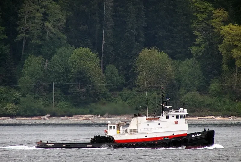 POLAR CLOUD General Cargo IMO 7367172 photo 10