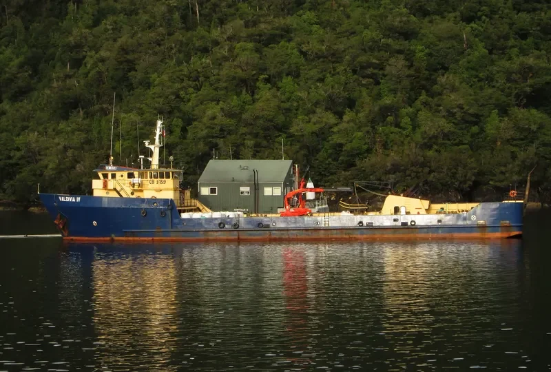 VALDIVIA IV Ro-Ro IMO 7367392