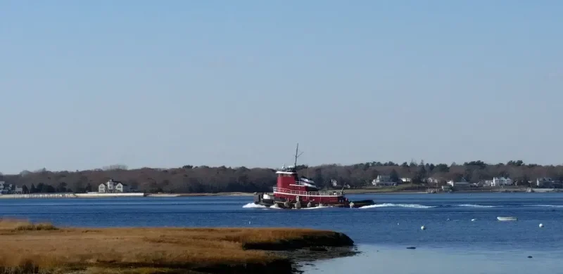 RELIANCE Tug Boat IMO 7367407