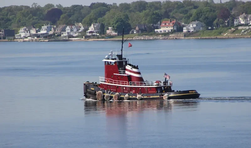 RELIANCE Tug Boat IMO 7367407 photo 2
