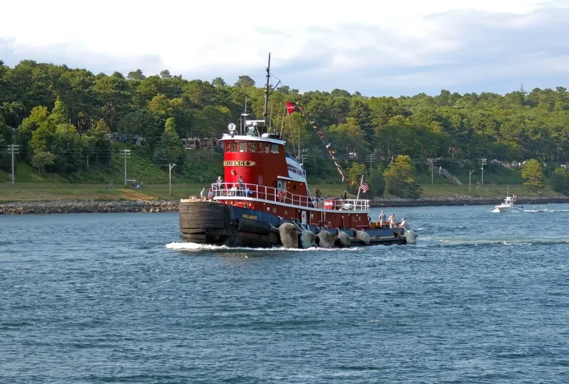 RELIANCE Tug Boat IMO 7367407 photo 4