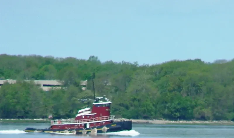 RELIANCE Tug Boat IMO 7367407 photo 8