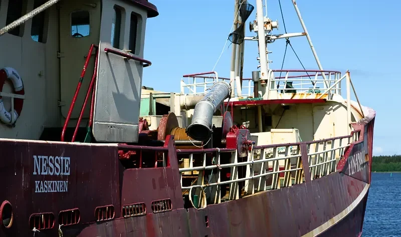 NESSIE General Cargo IMO 7367641 photo 7