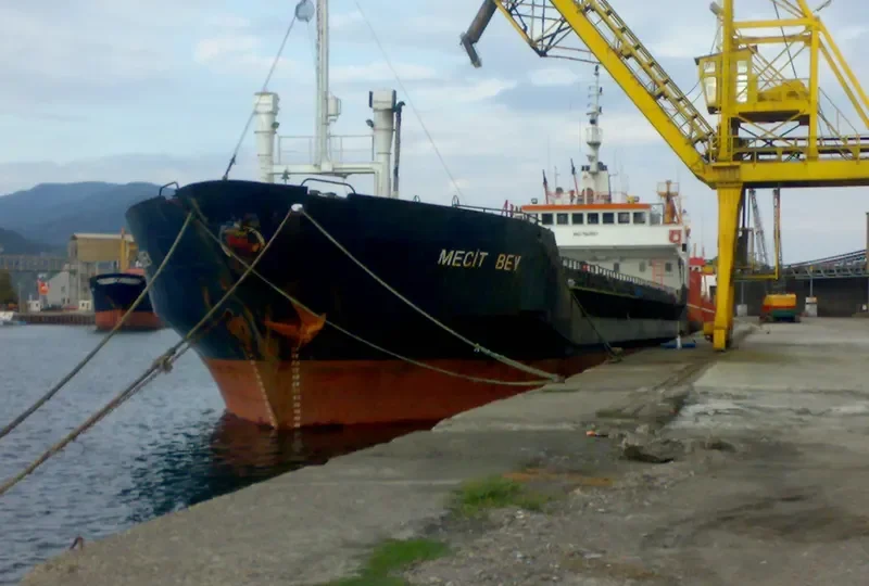 MECIT BEY General Cargo IMO 7367897 photo 10